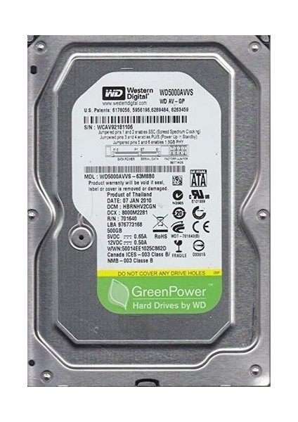 WD 500GB 3.5 Sabit Disk 7200RPM 32MB Model WD5000AVVS-63 M8B0 ile Yüksek Kapasite