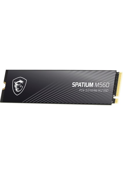 MSI Msı SSD Spatıum M560 Pcıe 5.0 Nvme M.2 1tb R:10200 W:8400