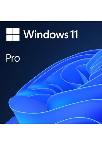 Ms Wındows 11 Pro Tr Kutu HAV-00159