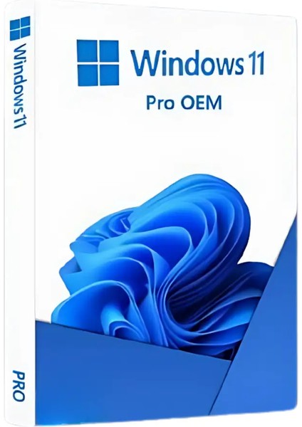 Microsoft Windows 11 Pro OEM Lisans Key